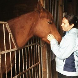 Equestrian Dreams - Nothing beats a good scratch