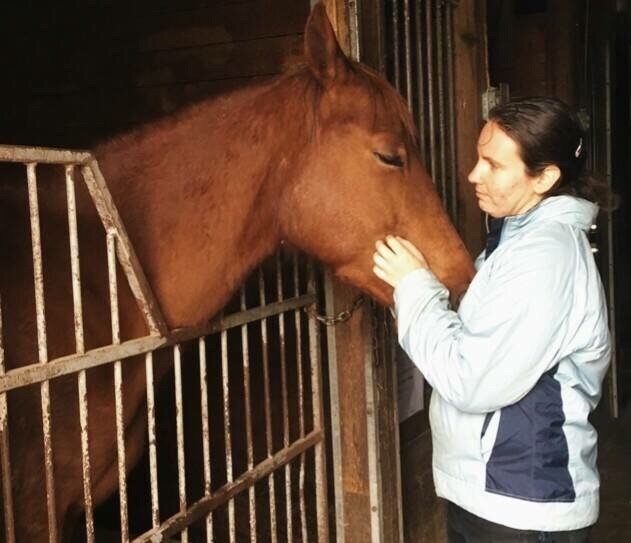 EQUESTRIAN DREAMS Updated April 2024 11 Photos 499 Campbellville
