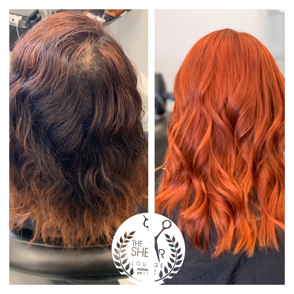 THE SHEAR LOUNGE 411 Photos & 32 Reviews 7389 Stewart And Gray Rd