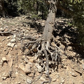 Boreas Pass - Hiking Near Me - Jefferson, Colorado Boreas Pass - Hiking Near Me - Jefferson, Colorado