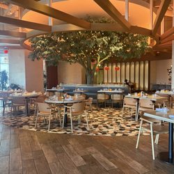 Carcara - Indoor seating