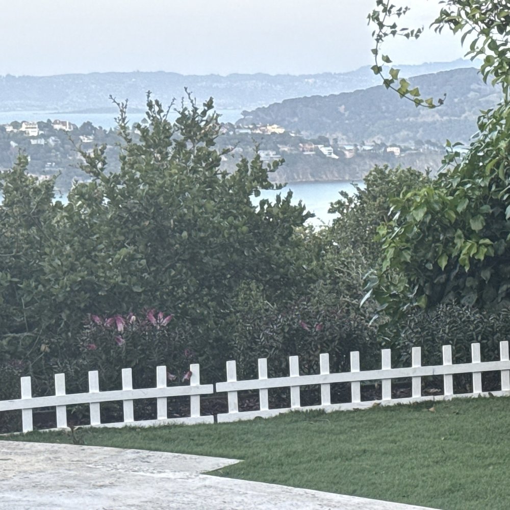 Arana’s Landscaping - Finished turf lawn - Gardeners Near Me