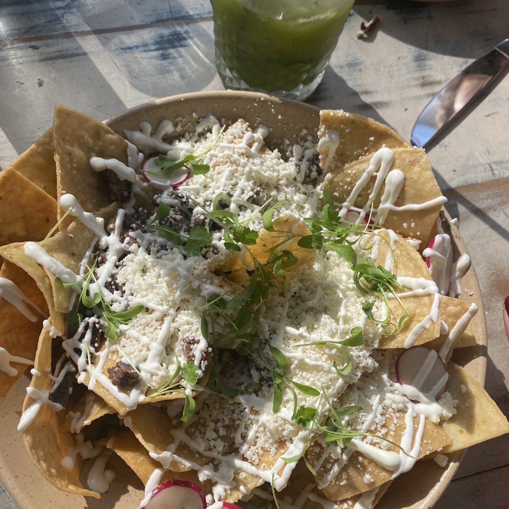 Tacology - Chilaquiles with steak - Mexican Near Me - Miami, Florida Tacology - Chilaquiles with steak - Mexican Near Me - Miami, Florida