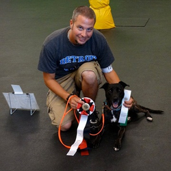Einstein Dog Training