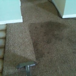 561 Carpet and Tile