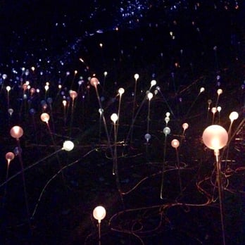 Bruce Munro: Light In the Garden - Botanical Gardens Near Me - Atlanta, Georgia
