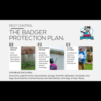 Pest Badger - Pest Control Near Me Pest Badger - Pest Control Near Me