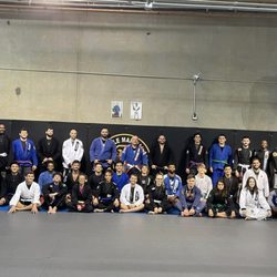 Freestyle Martial Arts