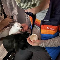 Kissakahvila Helkatti - Feed the bunnies!