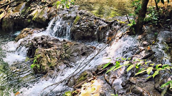 Palenque Temple of Inscriptions by null