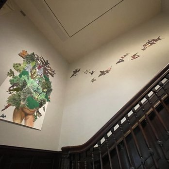 The Phillips Collection - Art Museums Near Me - Washington, DC, District of Columbia