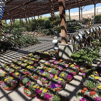 Star Nursery - Nurseries & Gardening Near Me - Las Vegas, Nevada Star Nursery - Nurseries & Gardening Near Me - Las Vegas, Nevada