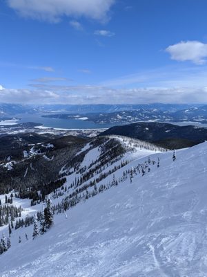 Schweitzer by null