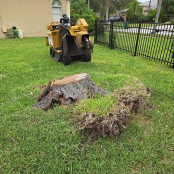 Barto Stumps and Tree Service - Tree Services Near Me - Spring Hill, Florida Barto Stumps and Tree Service - Tree Services Near Me - Spring Hill, Florida
