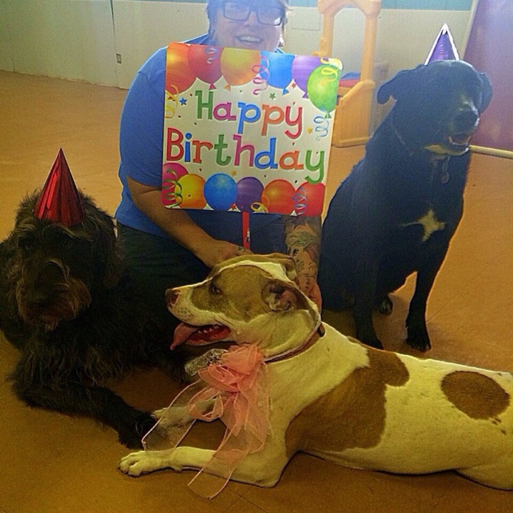 Pardise Dogs 24/7 - JC's 5th birthday party at Villa la Paws! May 2014 - Pet Groomers Near Me - Phoenix, Arizona