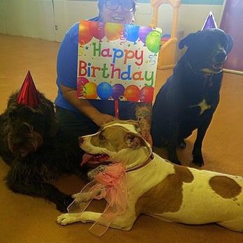 Pardise Dogs 24/7 - JC's 5th birthday party at Villa la Paws! May 2014 - Pet Groomers Near Me - Phoenix, Arizona