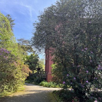 Jardim Botânico do Porto - Botanical Gardens Near Me - Porto, 13