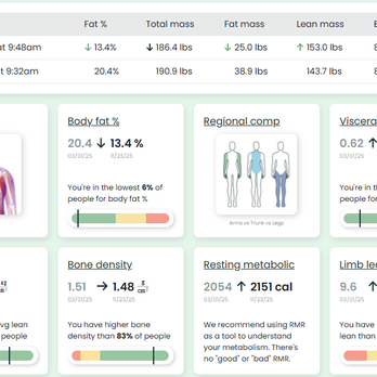 HULK FIT CO - Dexa scan results through 1st 9-mths of training - Trainers Near Me