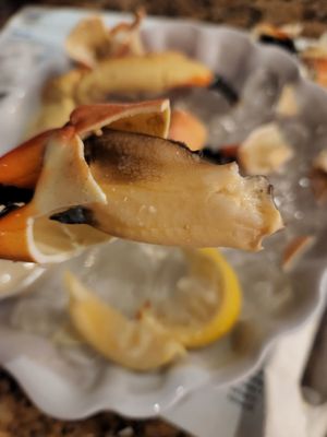 Monty's Coconut Grove by null