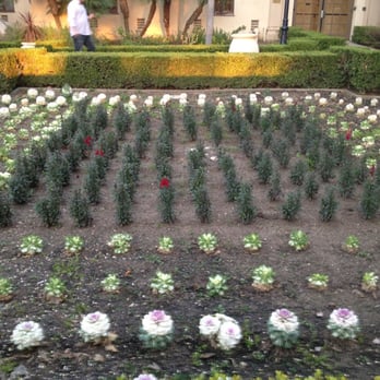 Alcazar Garden - Parks Near Me - San Diego, California Alcazar Garden - Parks Near Me - San Diego, California