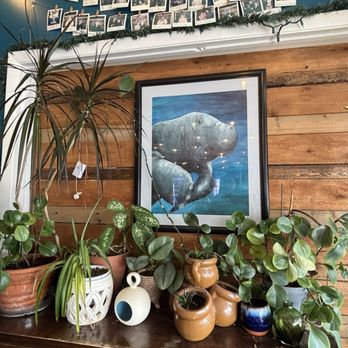 Lynnhaven Coffee Company - Coffee & Tea Near Me - Virginia Beach, Virginia Lynnhaven Coffee Company - Coffee & Tea Near Me - Virginia Beach, Virginia