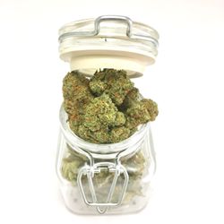 Chronic Solutions