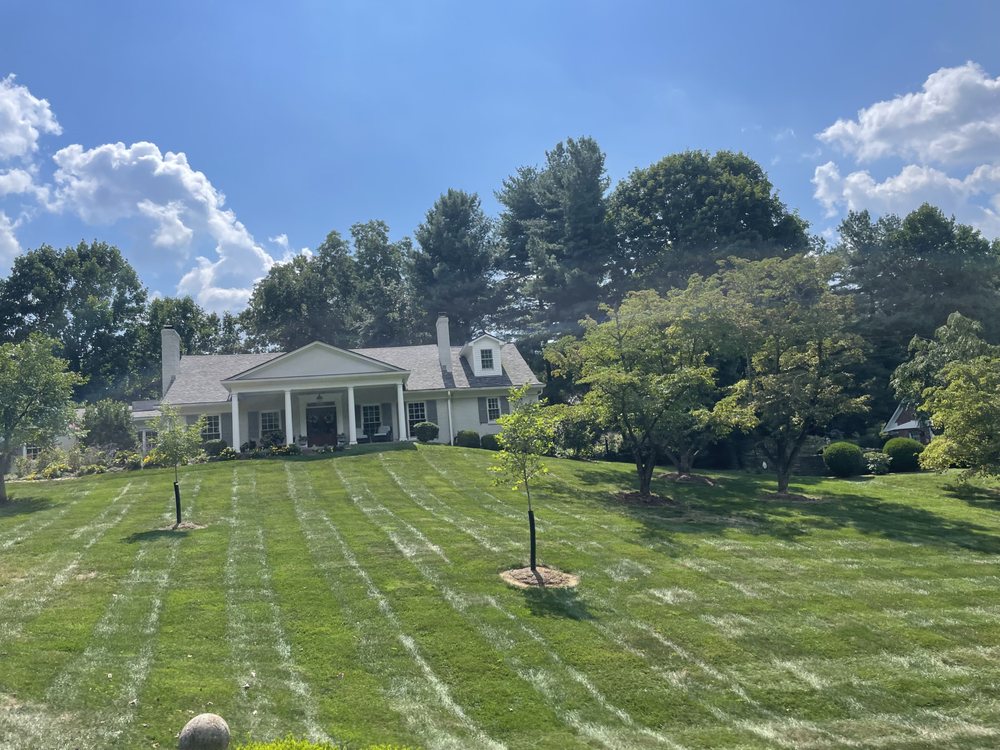 Anytime, Grass Cut & More - tree service in Louisville, KY