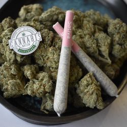 Cannabis Nation
