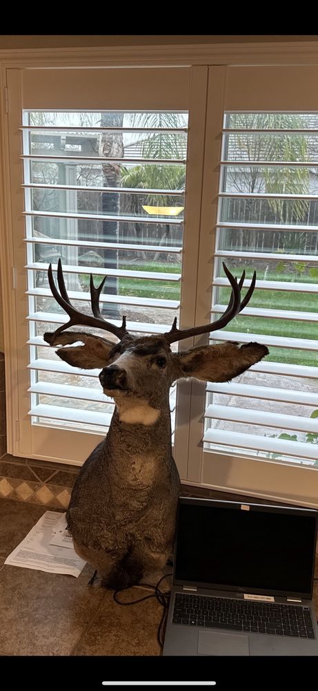 Cluck's Taxidermy - taxidermy in Antioch, CA