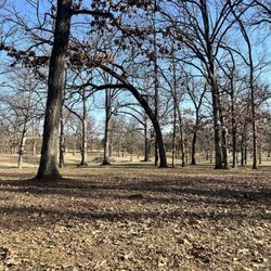 Tilles County Park