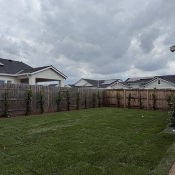 Green Valley Landscaping - Real Grass and Potocarpus hedges for the win. - Landscape Architects or Designers Near Me