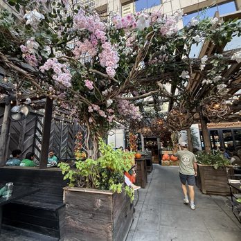 Harper's Garden - Tapas/Small Plates Near Me - Philadelphia, Pennsylvania