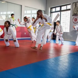 Senshi Okami Martial Arts - Kids martial arts bronx at senshi okami