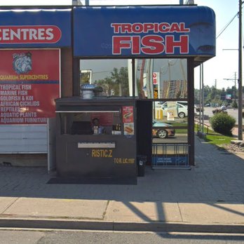 Hot Dog Stand - Front View - Hot Dogs Near Me - Toronto, Ontario Hot Dog Stand - Front View - Hot Dogs Near Me - Toronto, Ontario