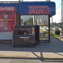 Hot Dog Stand - Front View