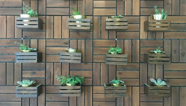 Bento & Bowls by null