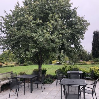 Copper Kettle Coffee Bar - Patio - Coffee & Tea Near Me - Bellevue, Washington Copper Kettle Coffee Bar - Patio - Coffee & Tea Near Me - Bellevue, Washington