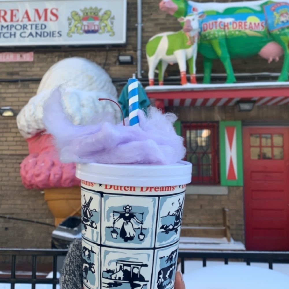 Dutch Dreams - Ice Cream & Frozen Yogurt Near Me - Toronto, Ontario Dutch Dreams - Ice Cream & Frozen Yogurt Near Me - Toronto, Ontario