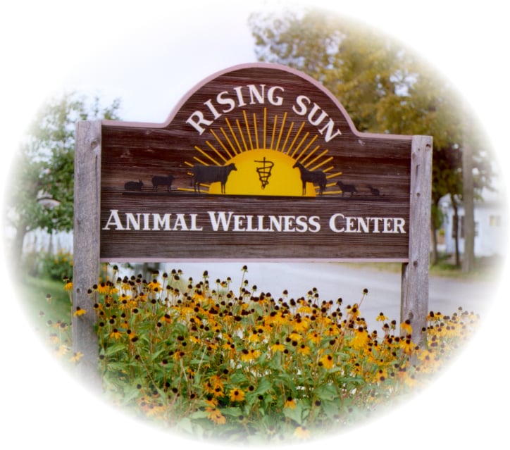 RISING SUN ANIMAL WELLNESS CENTER 315 E Decker St, Viroqua, Wisconsin