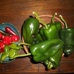 Bowers Pepper Festival