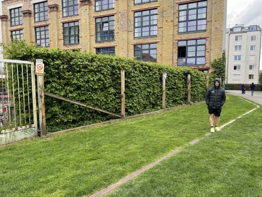 Berliner Mauer by null