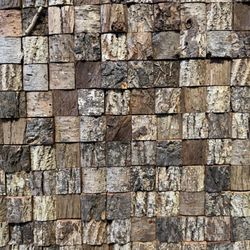 SMoCA - Scottsdale Museum of Contemporary Art - Jeanne K. Simmons Rooted 2/6/26
