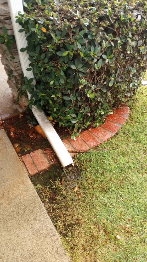 Slide of Papaya Powerwashing