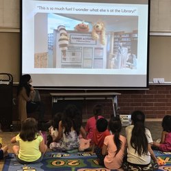 Montrose-Crescenta Branch Library - Stuffed animal sleepover at the library~ How cute is that!!!