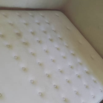 Absolute Green Solutions - Carpet Cleaning Near Me Absolute Green Solutions - Carpet Cleaning Near Me