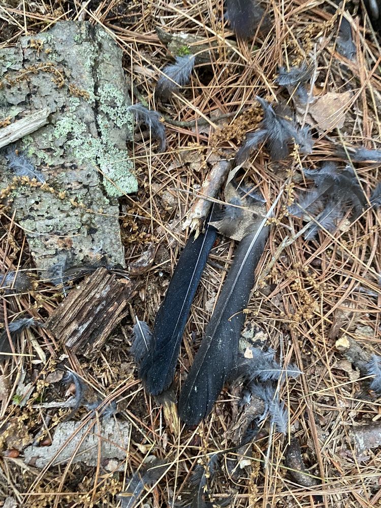 OCTOBER FARM CONSERVATION AREA Updated September 2024 15 Photos