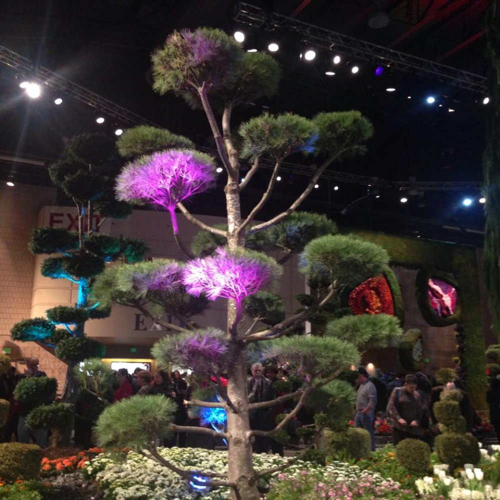 Pennsylvania Convention Center - Flower Show'14 - Venues & Event Spaces Near Me - Philadelphia, Pennsylvania Pennsylvania Convention Center - Flower Show'14 - Venues & Event Spaces Near Me - Philadelphia, Pennsylvania