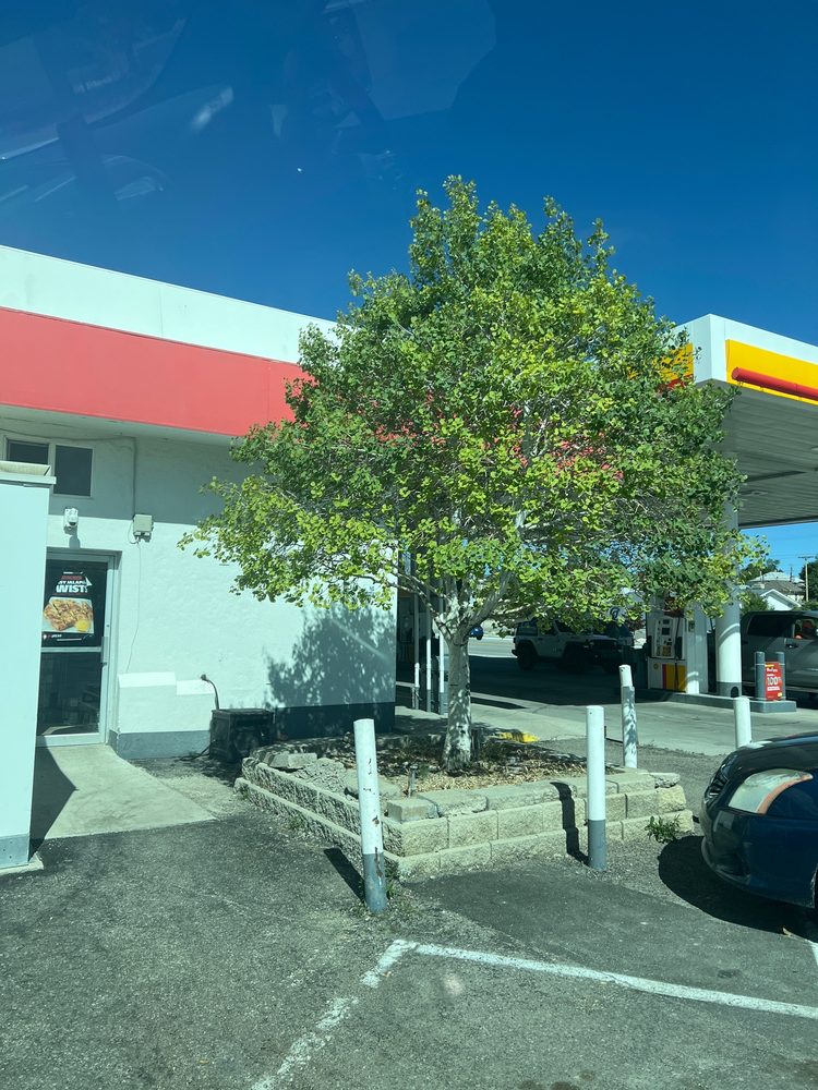 SHELL GAS STATION Updated September 2024 909 E Aultman St, Ely