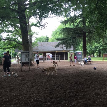 Wallace Park - Dog park - Dog Parks Near Me - Portland, Oregon Wallace Park - Dog park - Dog Parks Near Me - Portland, Oregon