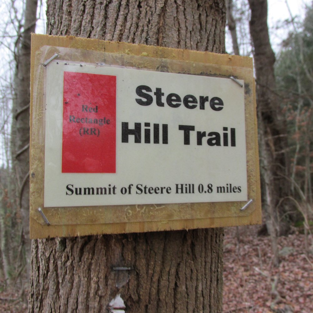 Steere Hill Trail - Well marked - Hiking Near Me - Glocester, Rhode Island